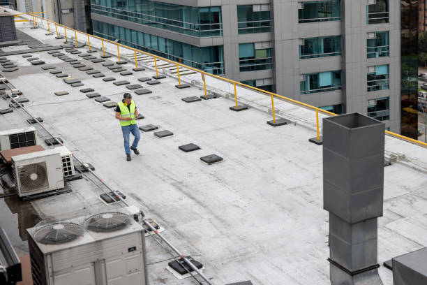 Best Roof Maintenance and Cleaning  in Bethel, NC